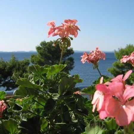 Apartment In With Sea View, Terrace, Air Conditioning, Wi-fi *